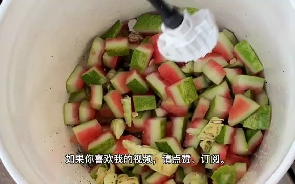 DIY扩容EM菌原液,bokashi沤肥省钱又环保哔哩哔哩bilibili