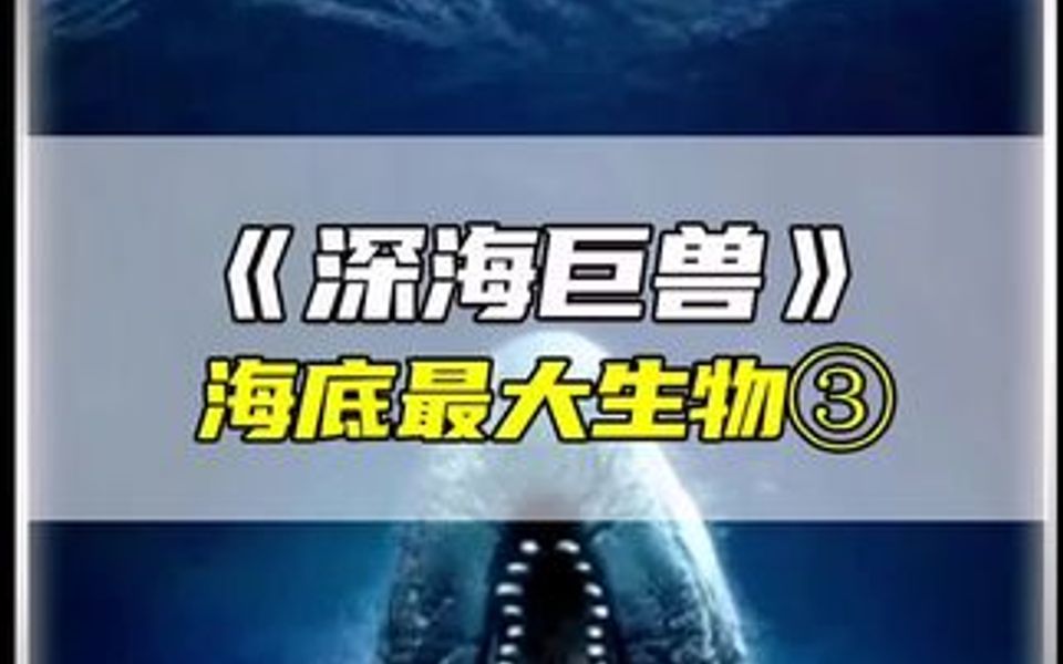 深海巨兽最大生物,究竟是谁?哔哩哔哩bilibili