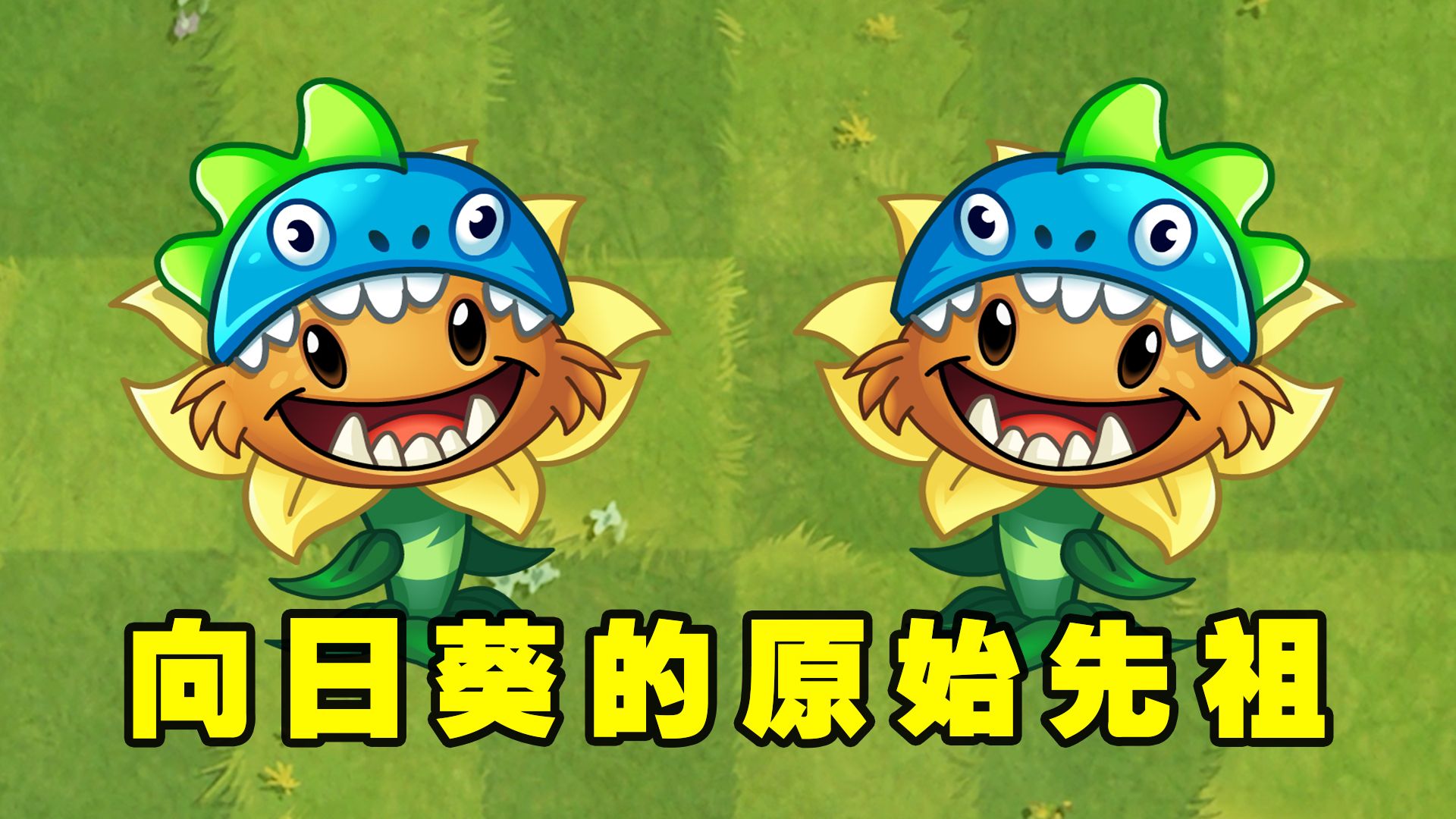 植物大战僵尸2:手足舞蹈的原始向日葵,1至5阶能生产多少阳光?