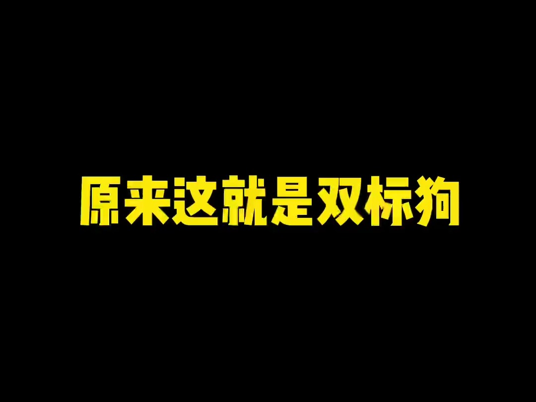 《人善被狗欺》哔哩哔哩bilibili