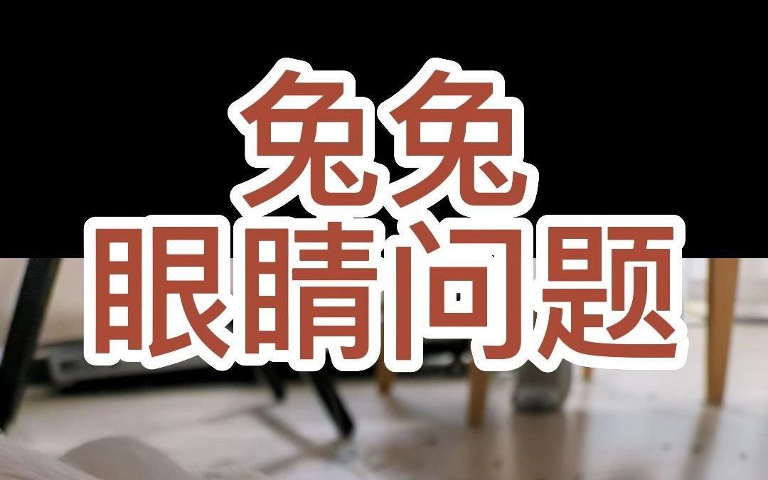 兔子眼睛问题哔哩哔哩bilibili