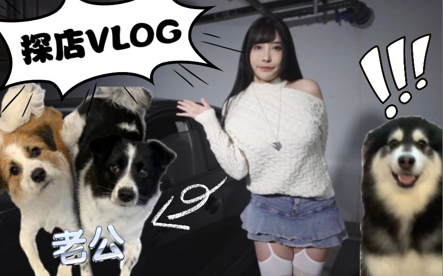 又软又白的狗狗|VLOG|宠物|探店|糖果果哔哩哔哩bilibili