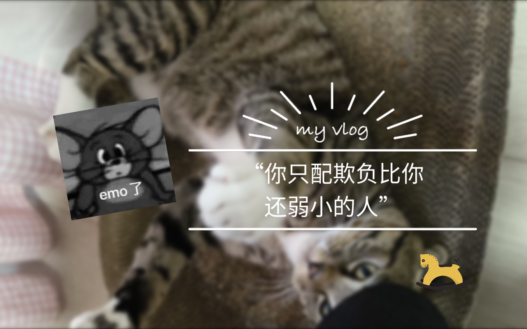 "你只配欺负比你还弱小的人"