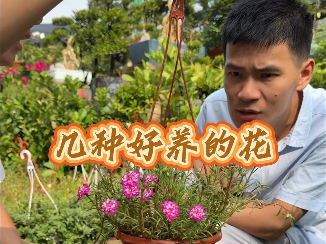 这几种花,花期长又好养!哔哩哔哩bilibili