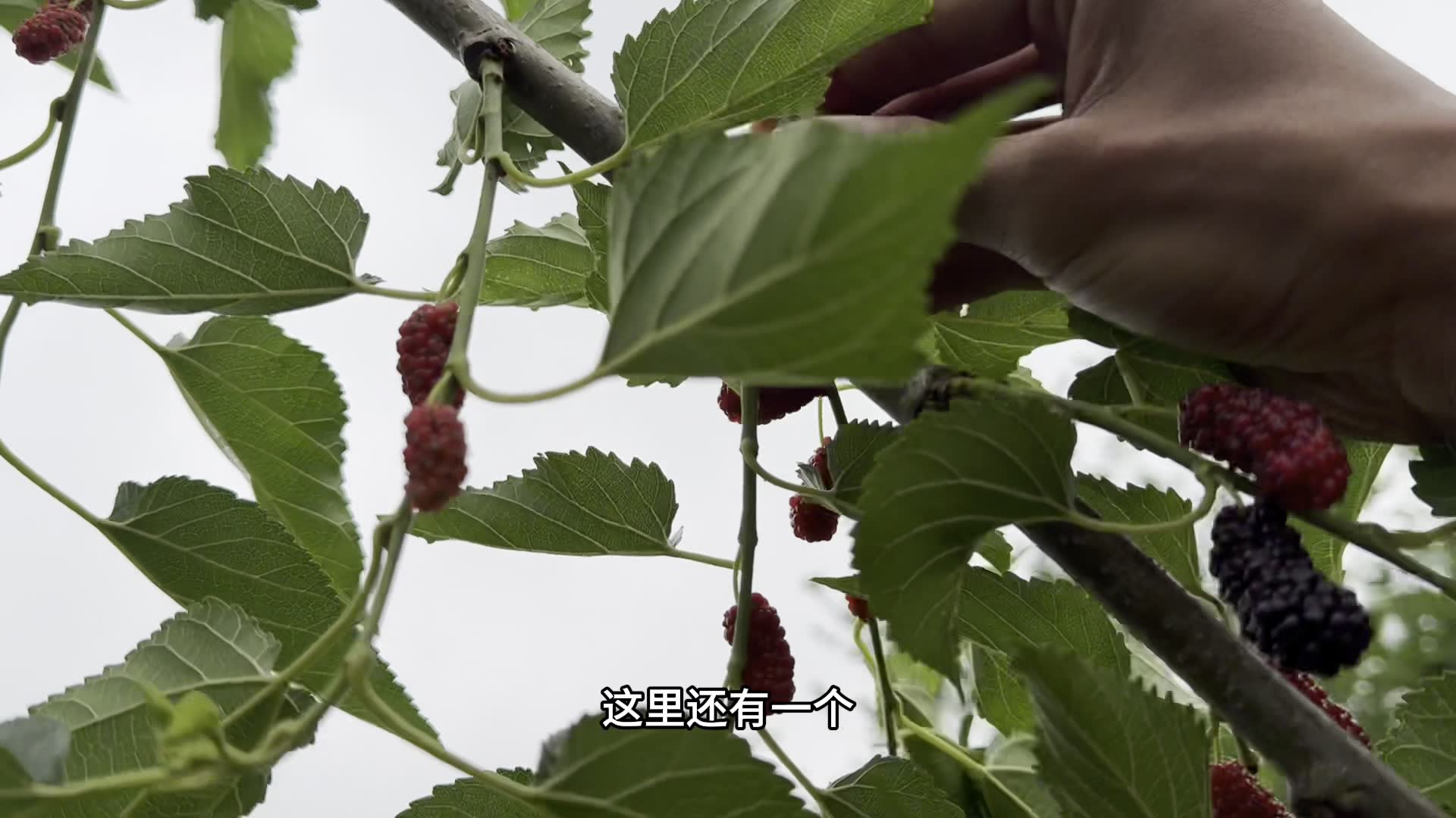 一人一狗云南骑行西藏,来到龙陵县在废弃菜市场露营!哔哩哔哩bilibili