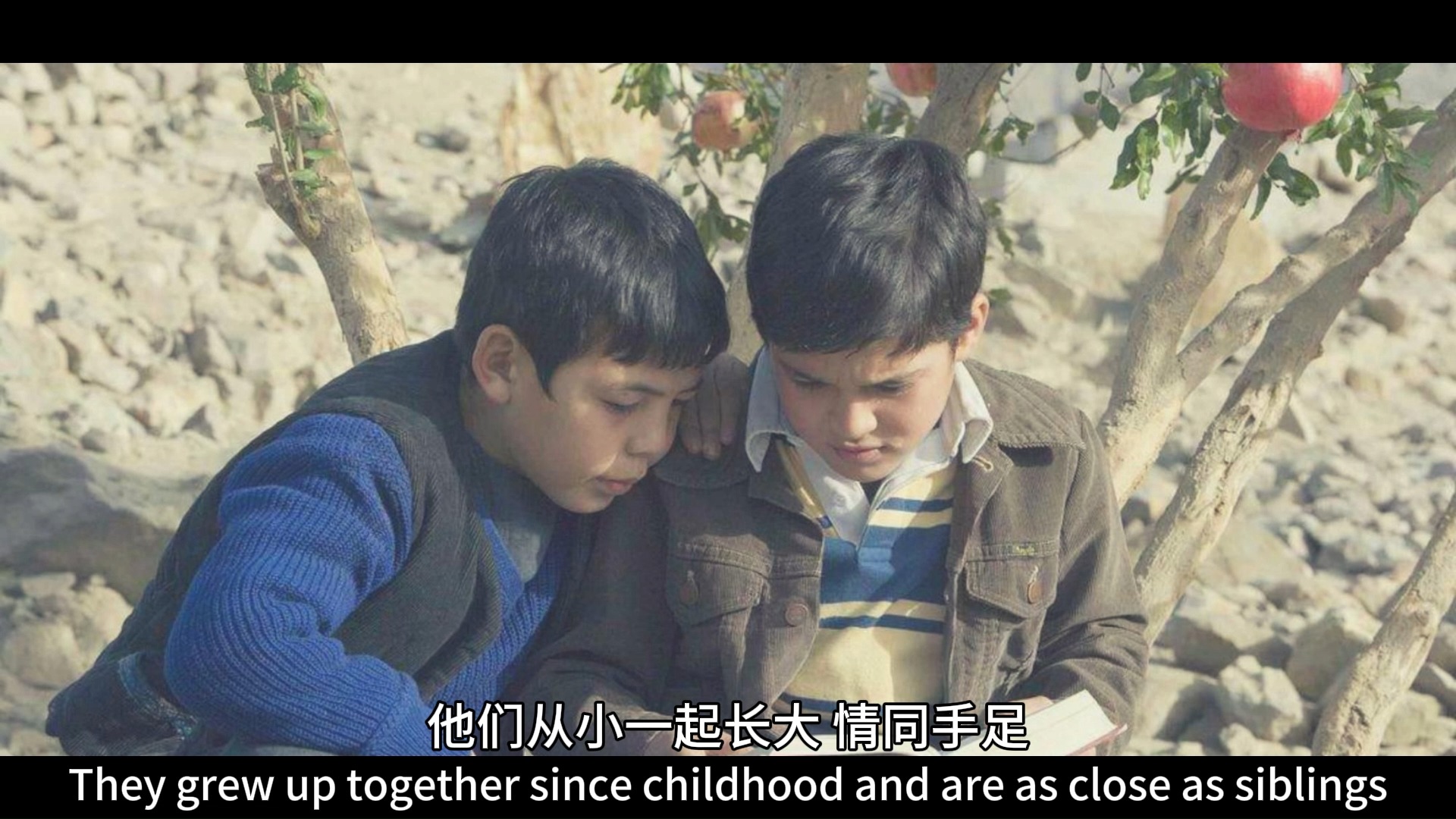 译读,为您推荐一本好书《追风筝的人》