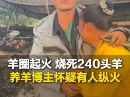 Download Video: 养羊博主称羊圈起火，烧死240头羊，十多分钟羊棚被烧毁，闻到汽油味，怀疑有人纵火