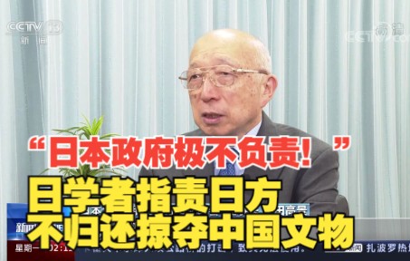 “日本政府极不负责!”日学者指责日方不归还掠夺中国文物哔哩哔哩bilibili