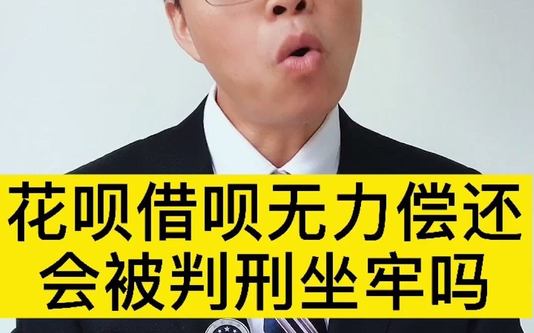 借了花呗借款暂无力偿还,会被判刑坐牢吗?哔哩哔哩bilibili