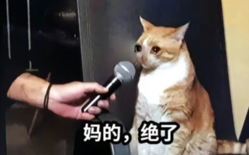 沙雕梗图|猫猫,你的主人给你绝育了吗?哔哩哔哩bilibili