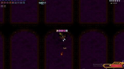 Terraria Calamity mod Boss rush no hit - BiliBili