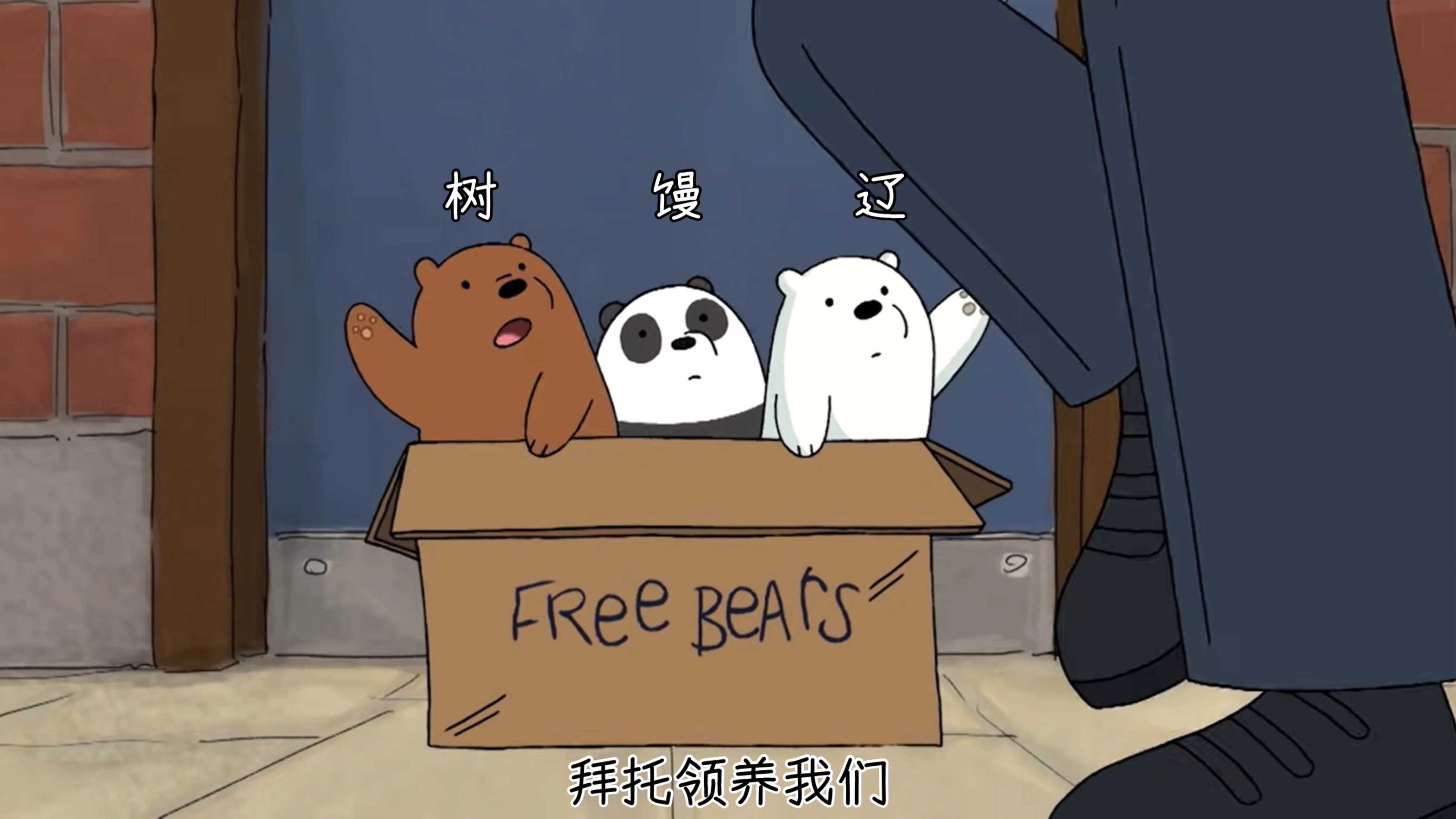 我们花园的三只裸熊