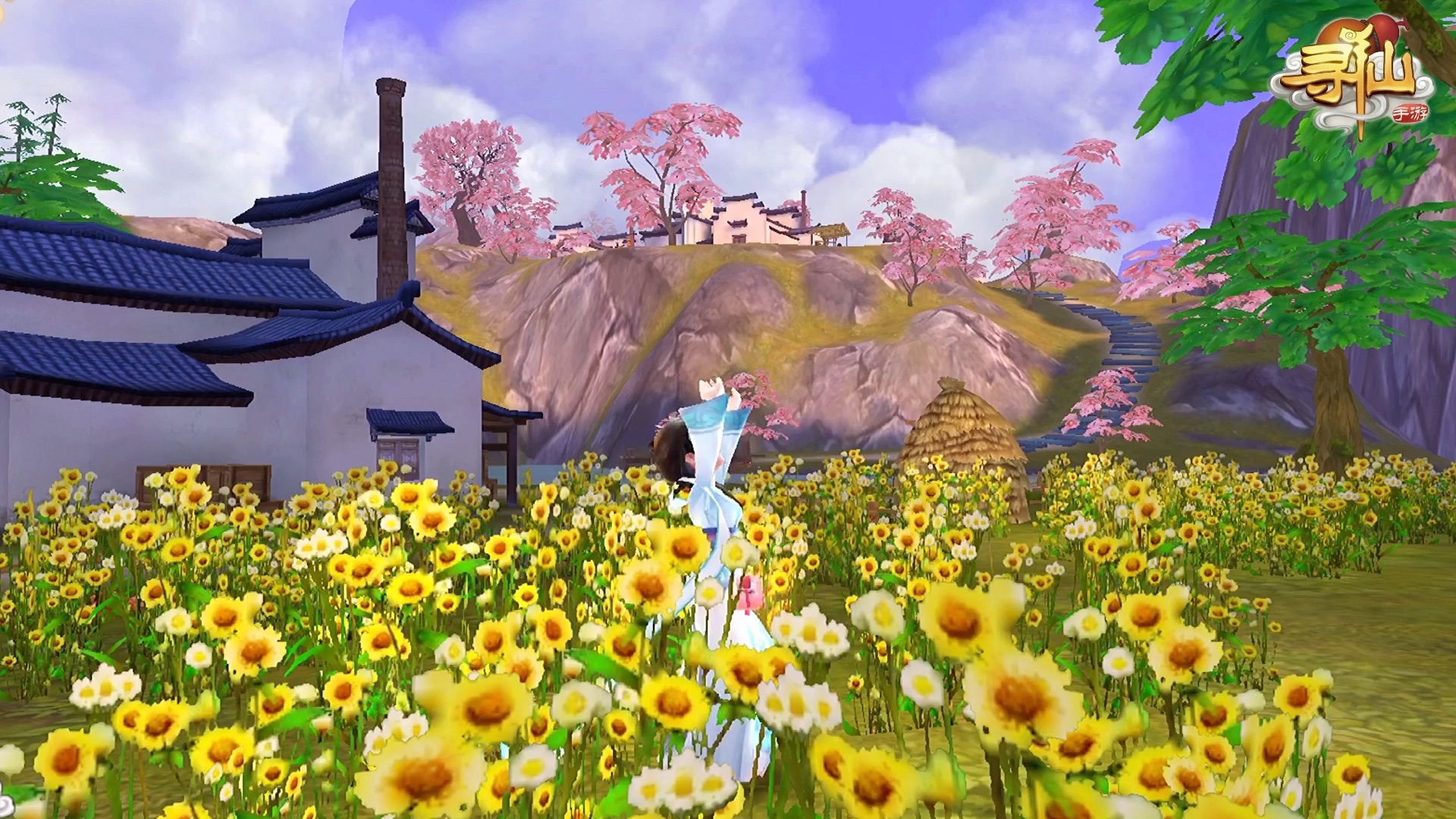 寻仙手游--思君又一年