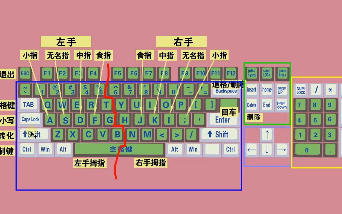 零基礎電腦知識,掌握鍵盤標準指法,打字速度和準確率都可以提高