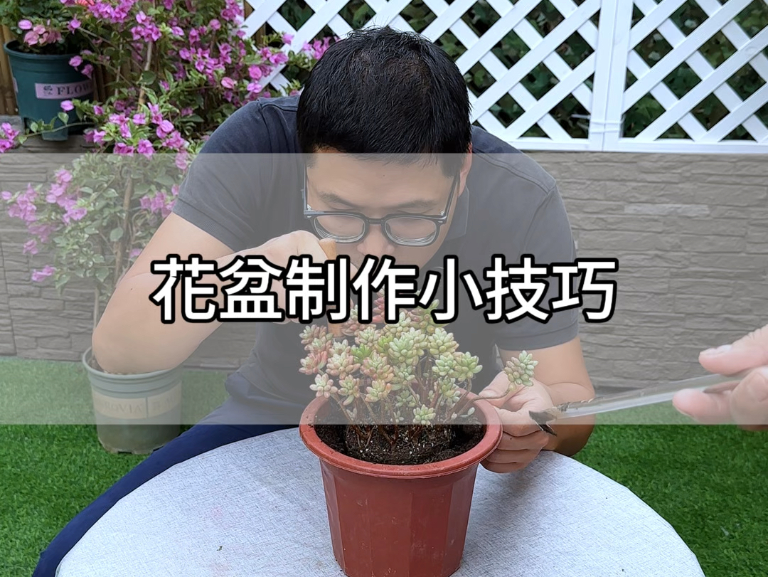 花盆制作小技巧哔哩哔哩bilibili