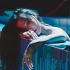 【MAMAMOO】华莎MV单曲回归 期不期待