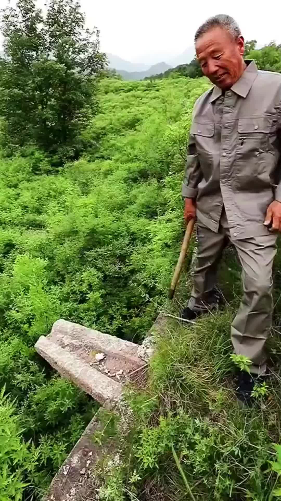 你知道肥水不流外人田啥意思嘛?哔哩哔哩bilibili