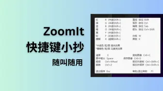 Download Video: 微软电子教鞭 ZoomIt v8.0 快捷键小抄，以及新功能 DemoType 自动输入演示文本