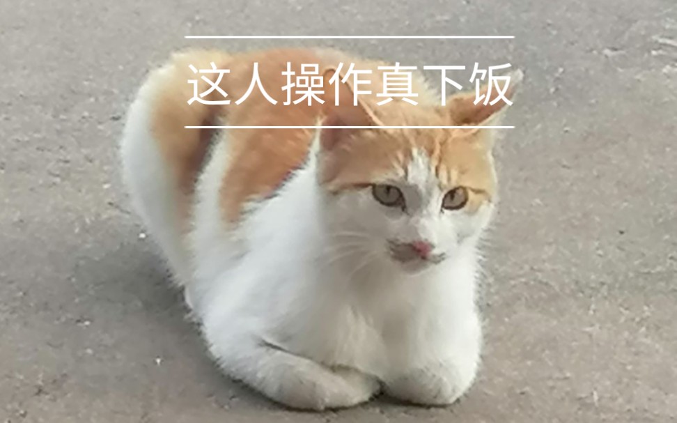 下饭操作纯属练练剪视频