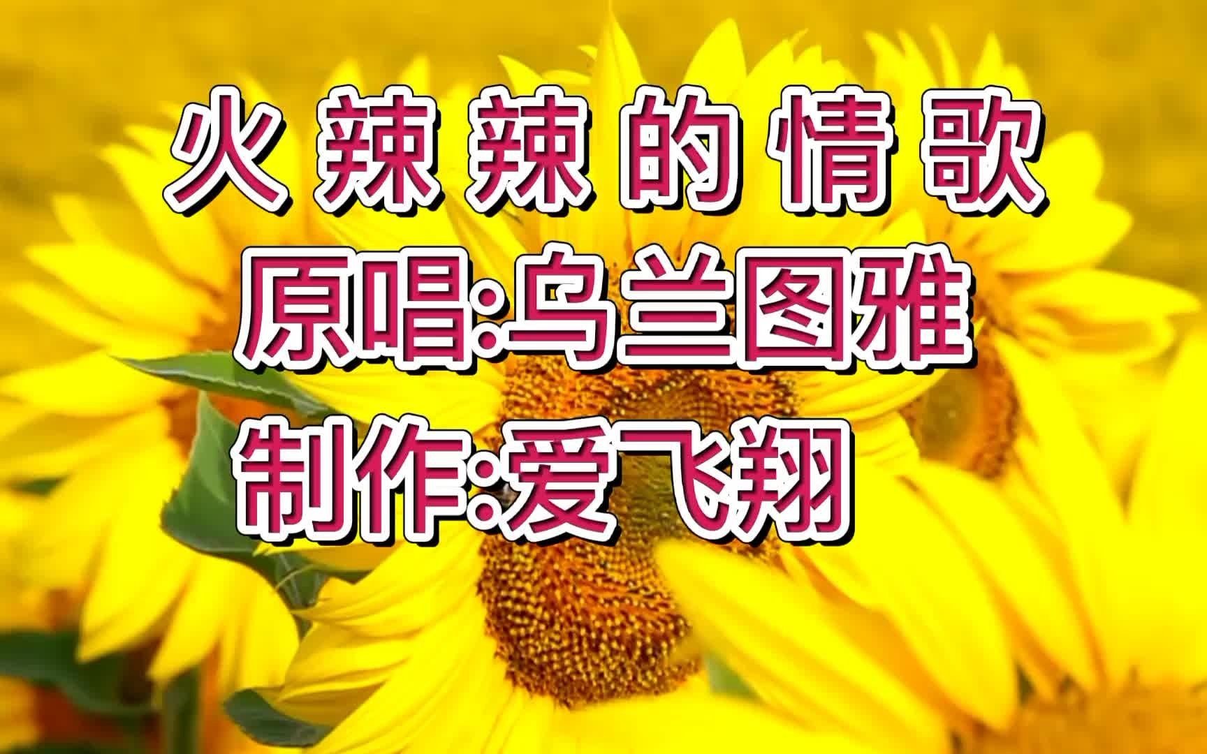 [图]乌兰图雅一首《火辣辣的情歌》经典情歌，动感的节奏，非常好听