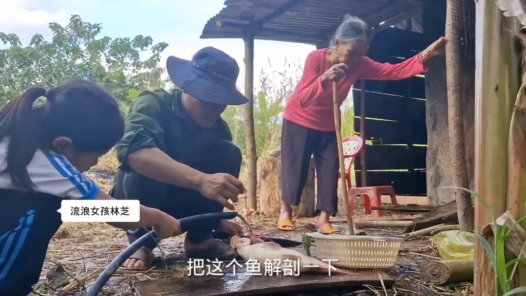 尼泊尔流浪女孩林芝终于有写作业的桌子,好心大哥提鱼前来拼餐哔哩哔哩bilibili