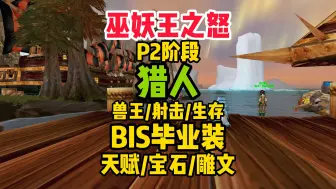 Download Video: 巫妖王之怒猎人生存射击兽王天赋雕文bis毕业装搭配！