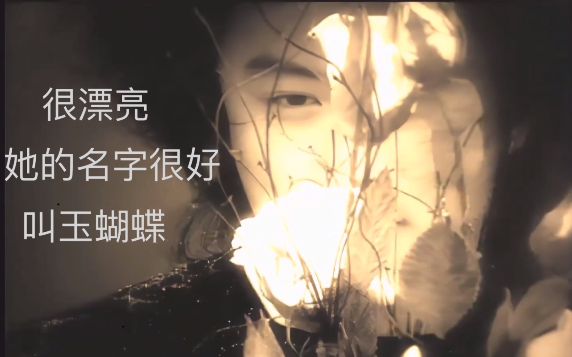 【谢霆锋】横跨二十四年的八场《玉蝴蝶》——"然而飞不飞一样美"