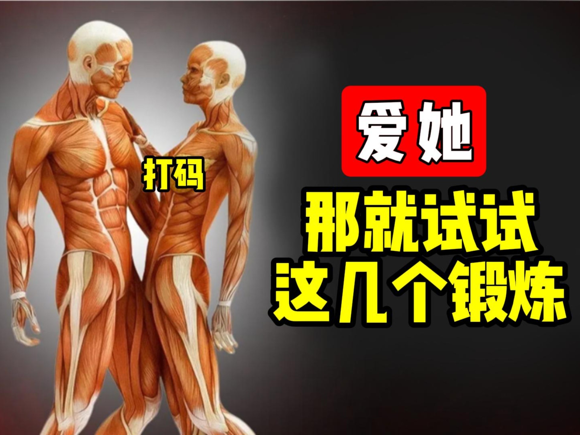 男人最佳的锻炼,女人更爱你的运动,试试看这几个动作你能做几个