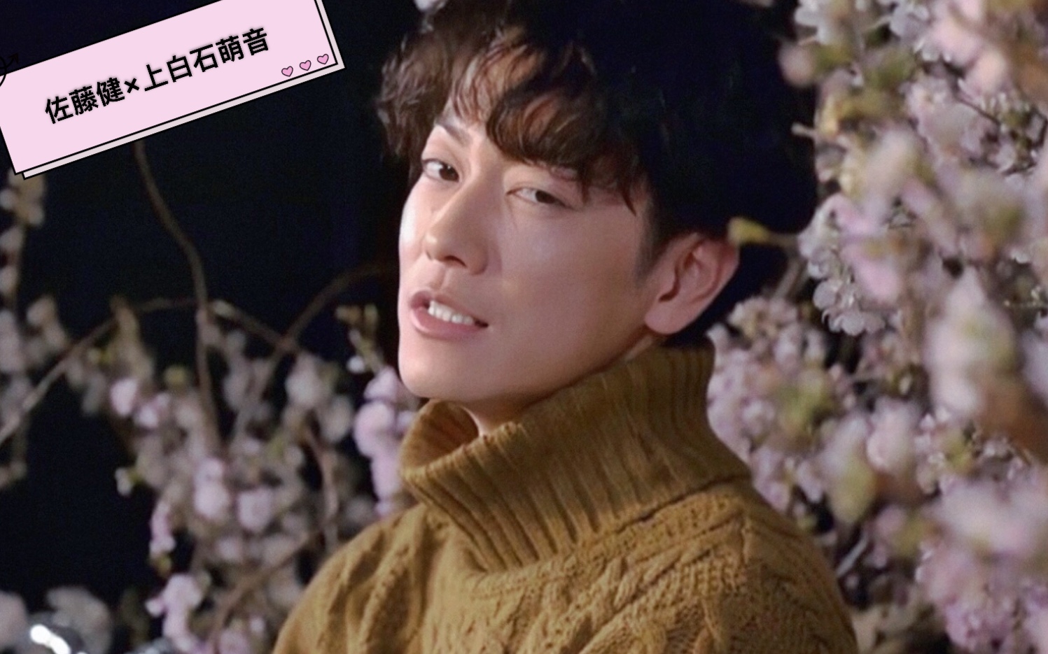 佐藤健×上白石萌音 摸头杀/八嘎合集/kiss卡点