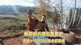 Video herunterladen: 撤离巍山回大理露营，准备见一个老朋友