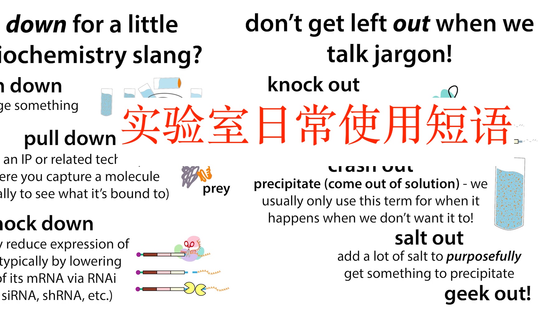 学一下医学/生物实验室日常使用英文短语们哔哩哔哩bilibili