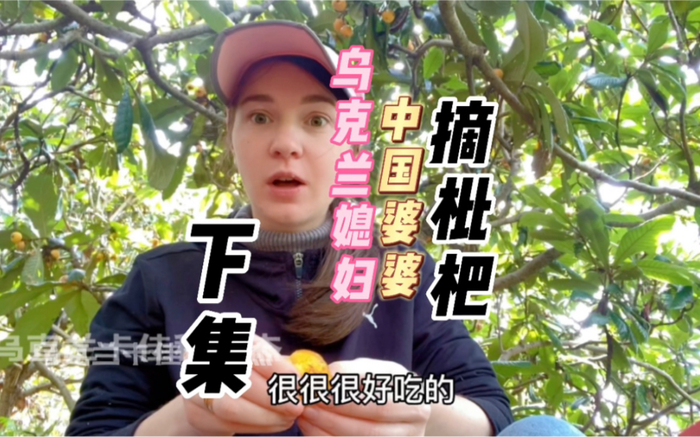 嫁福建莆田乌克兰媳妇跟着中国婆婆去摘枇杷,下集:卡佳吃嗨的一天