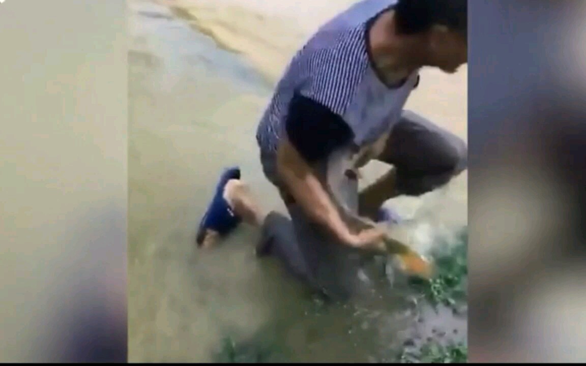 永州暴雨成河,市民当街抓大鱼,成群家鸡乘木筏过河哔哩哔哩bilibili