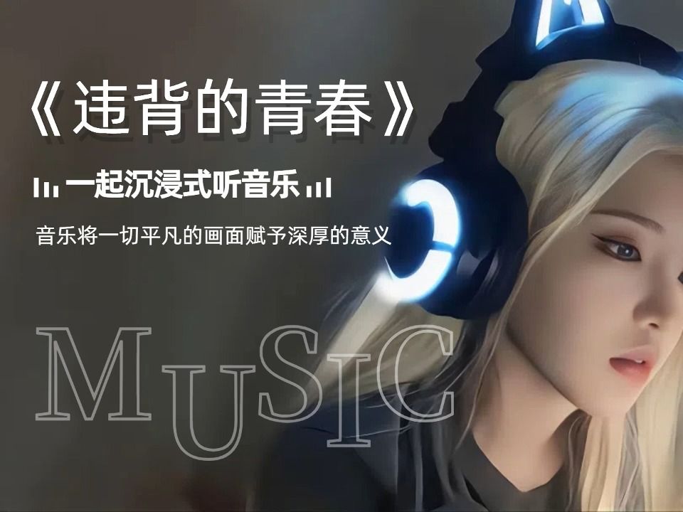 无损音乐合集《违背的青春》哔哩哔哩bilibili