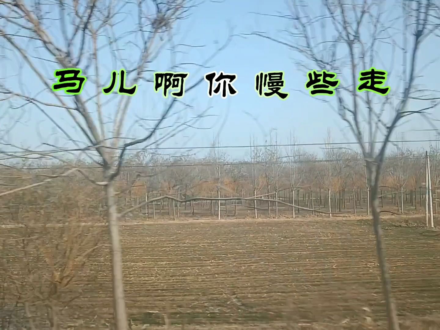 电子琴演奏 马儿啊你慢些走 向经典致敬