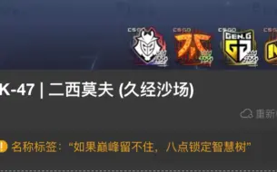 Download Video: CSGO中的起名大师们