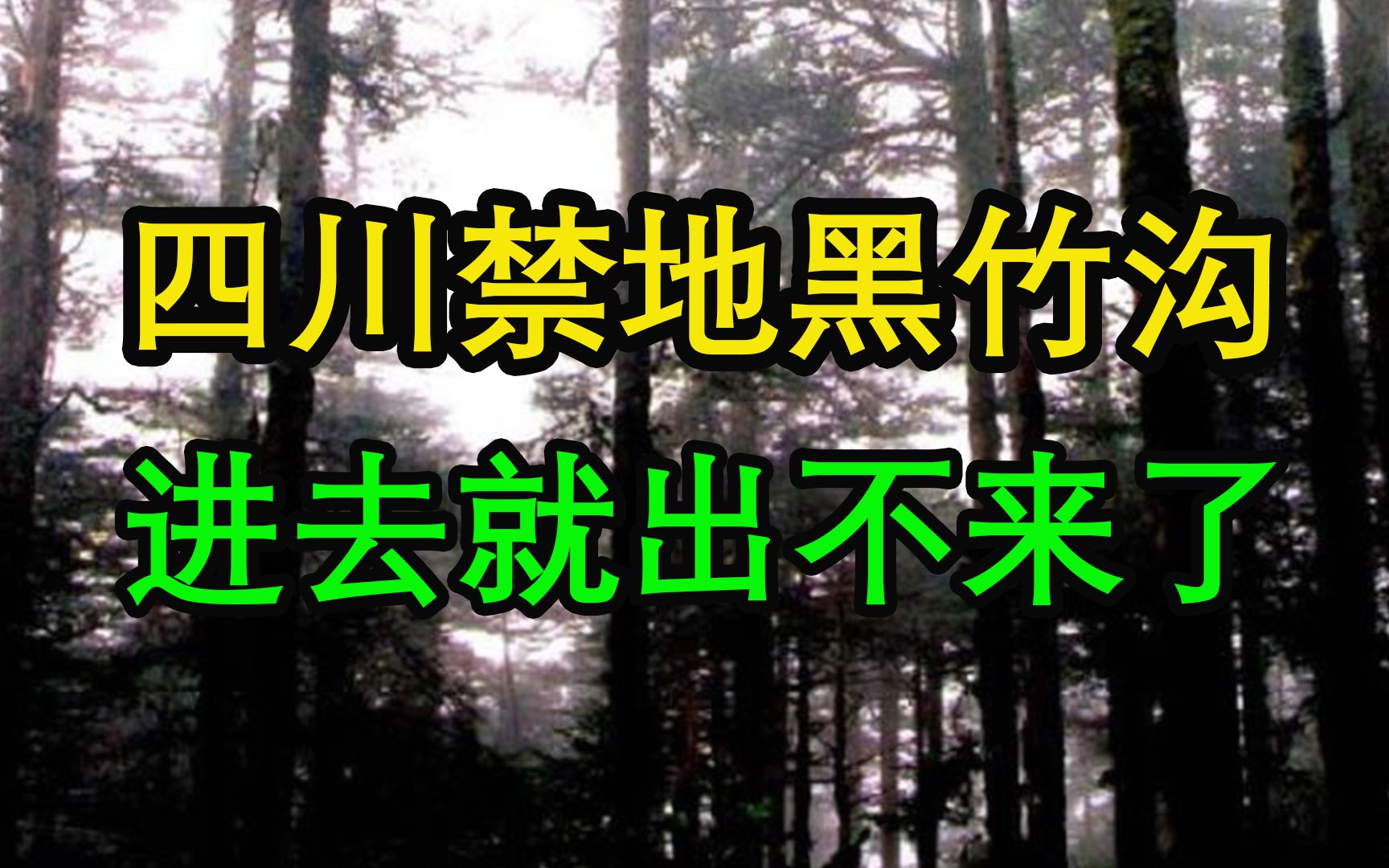 四川禁地“黑竹沟”,究竟有多可怕,当地村民:进去就出不来了哔哩哔哩bilibili