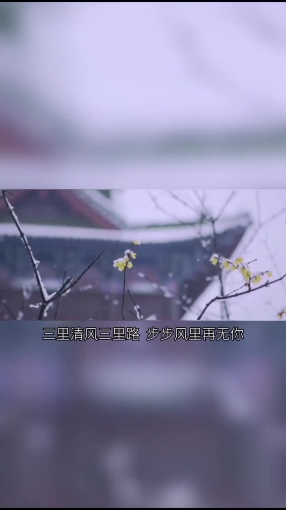 三里清风三里路,步步风里再无你.74555