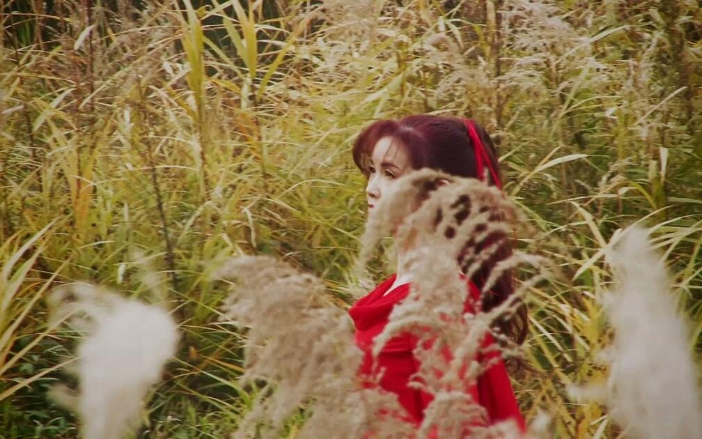 中岛美雪《清流》MV 中文版王菲《人间》_哔哩哔哩_bilibili