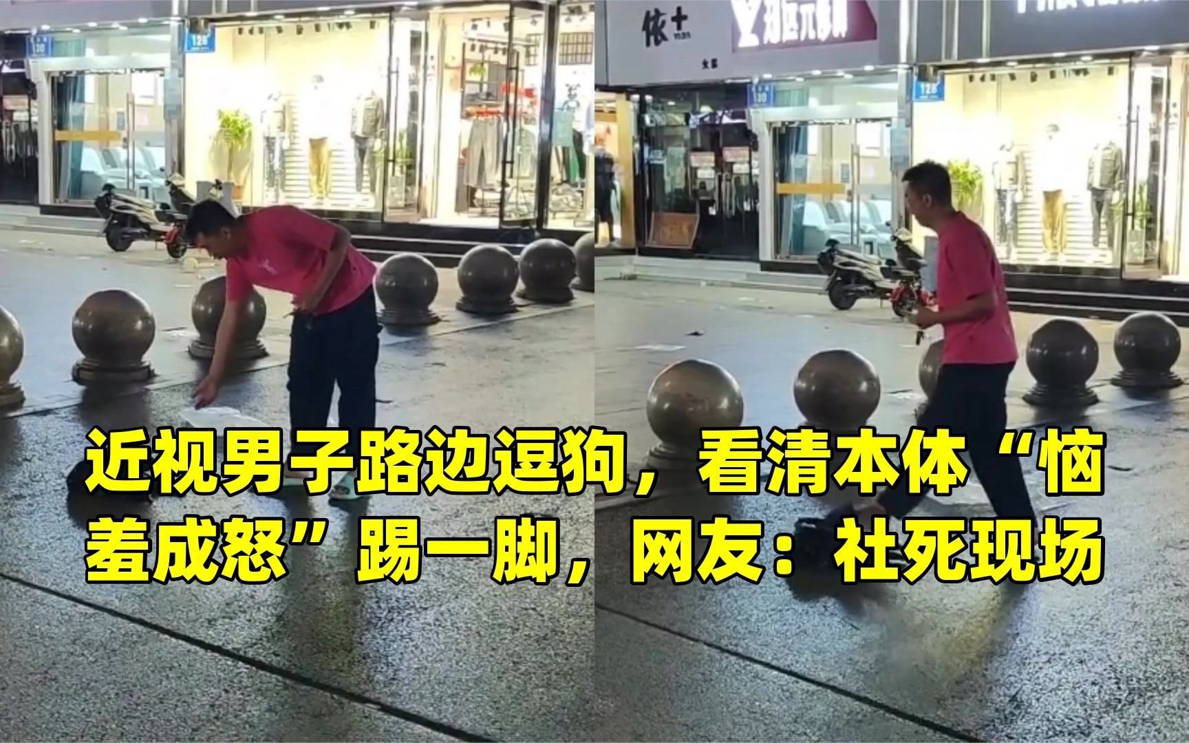 近视男子路边逗狗,看清本体"恼羞成怒"踢一脚,网友:社死现场