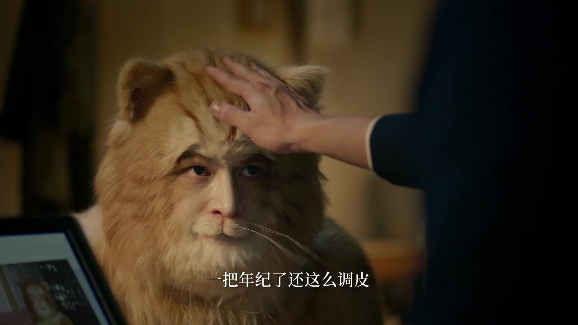 来看看胡歌如何扮演可爱搞笑的橘猫!_哔哩哔哩_bilibili