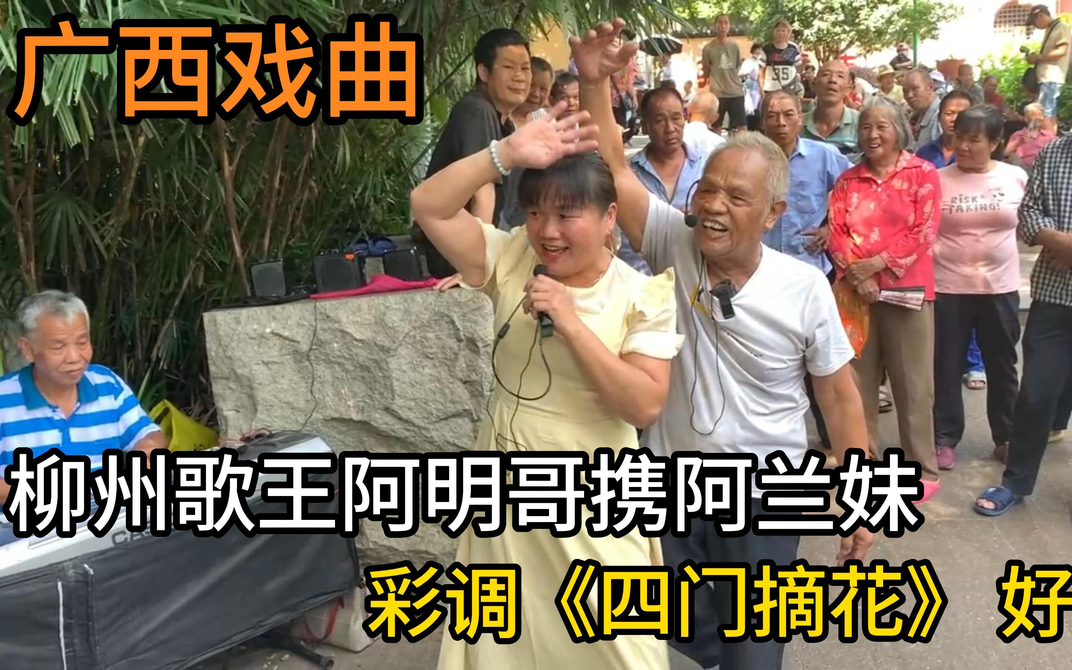 广西戏曲,柳州歌王阿明哥携阿兰妹,彩调《四门摘花》,好看