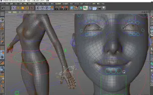 Download Video: C4D角色全身绑定+面部绑定—权重与Xp标签等多功能联合绑定