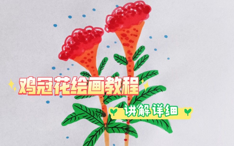 【植物】绘画教程,一起来画鸡冠花.哔哩哔哩bilibili