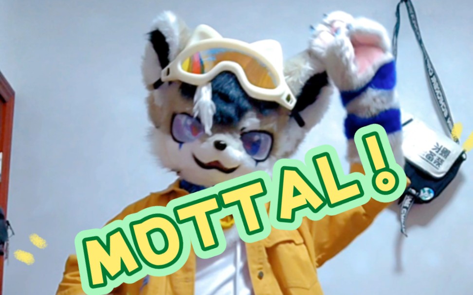 MOTTAL!哔哩哔哩bilibili