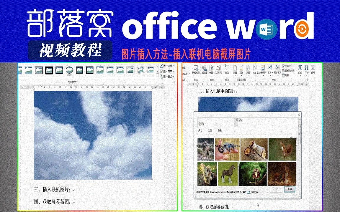 word图片插入方法视频:插入联机电脑截屏图片哔哩哔哩bilibili