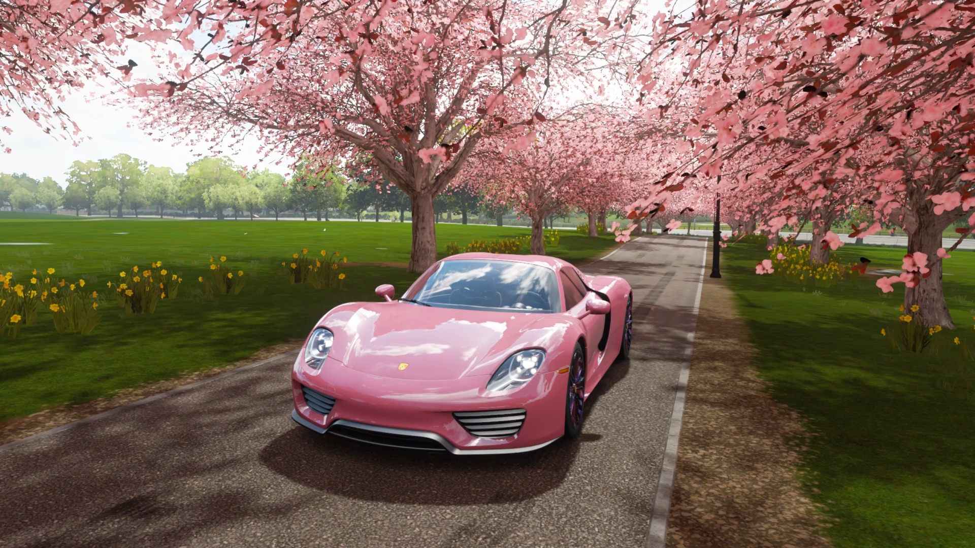 地平线4—樱花小道