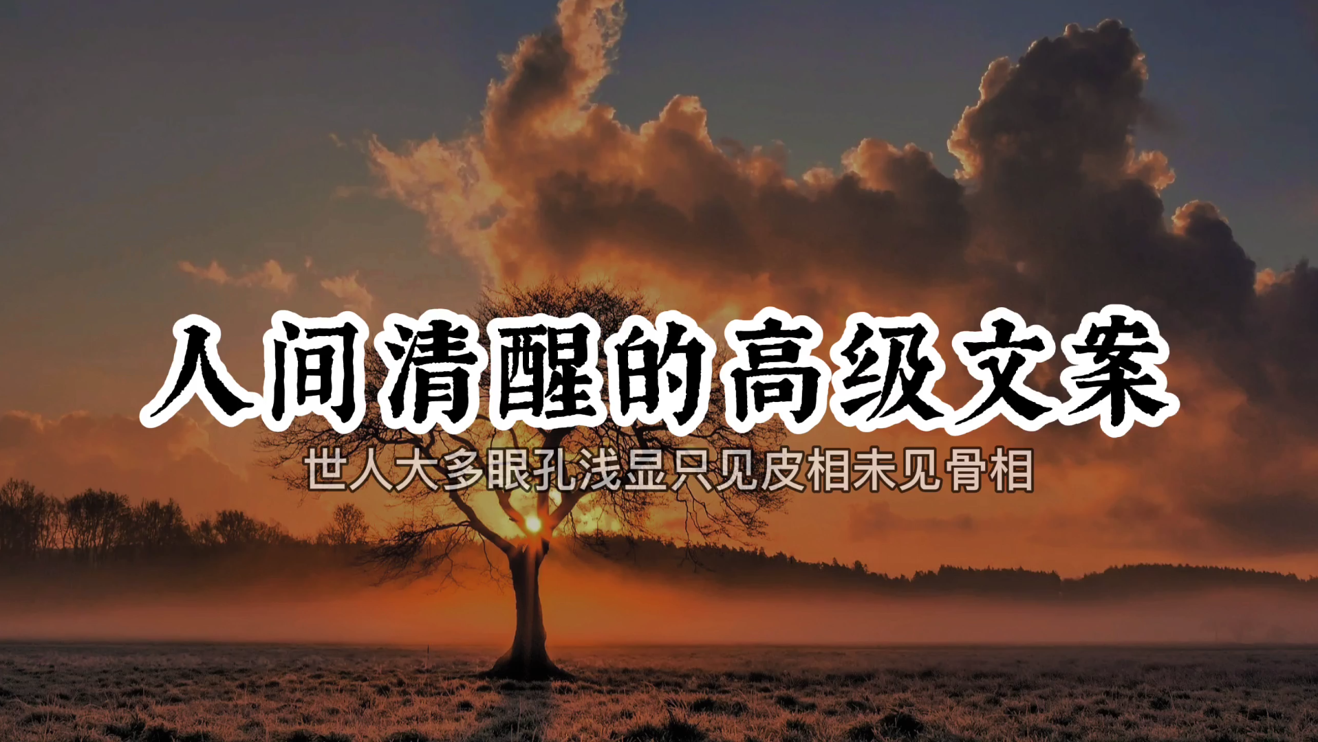 [图]【人间清醒的高级文案】爱情文案.高级经典语录.情感句子."先说爱的先不爱，后动心的不死心"