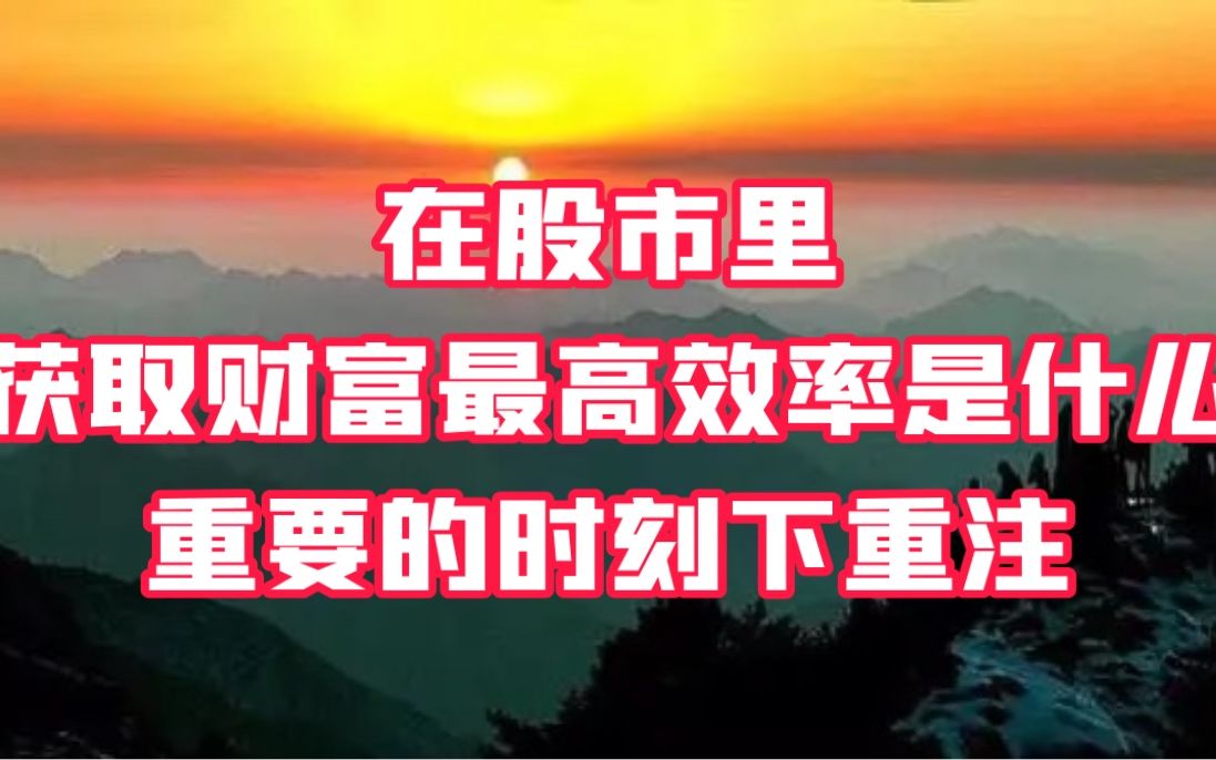 在股市财富获取最高效率是什么?要懂得重要时期下重注!不是吗?哔哩哔哩bilibili