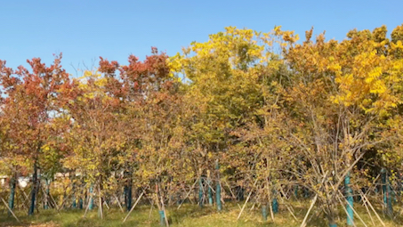 常州孟河小黄山